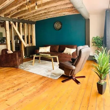 Bel Avec Cachet Et Charme De L'ancien Apartmán Le Mans